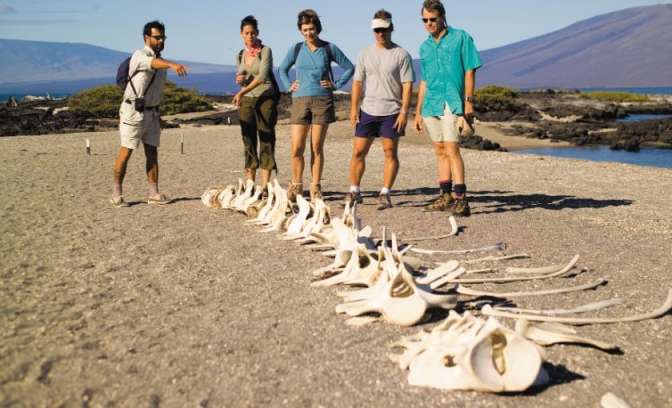 Botten op strand Galapagos