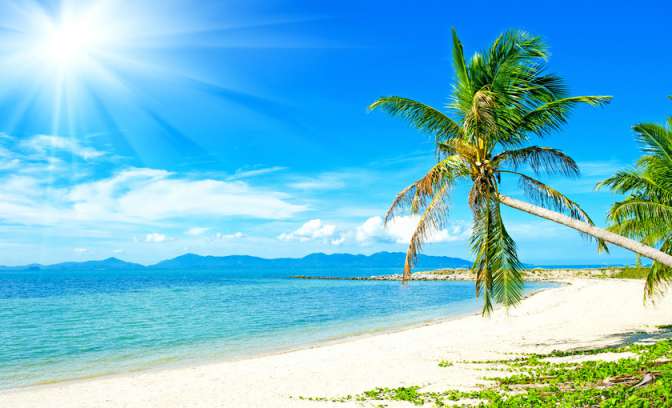 Palmbomen op een parelwit strand op de Bahamas